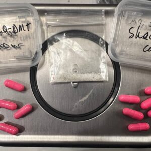 4-AcO-DMT: (Acetylpsilocin)