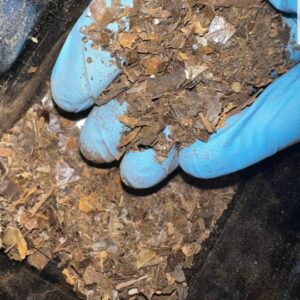 Changa: (Smokeable Ayahuasca)